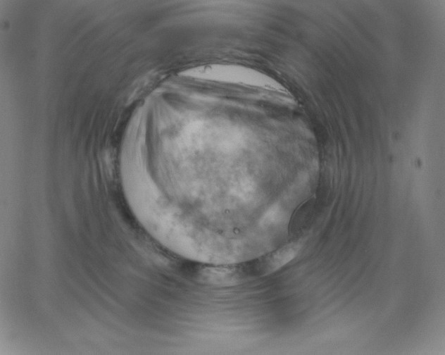 X0000062610139200601181639