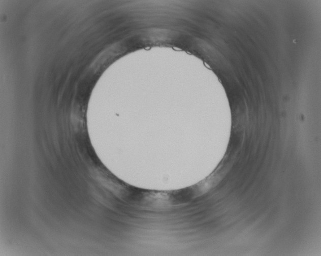 X0000062610140200601181639