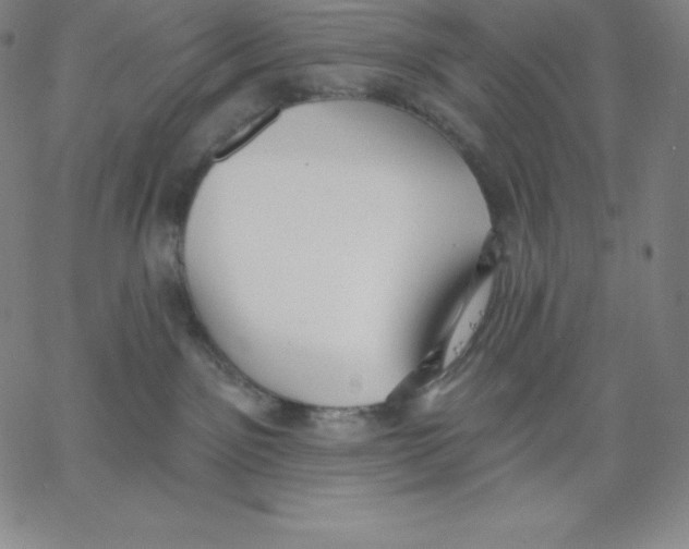 X0000062610141200601181639