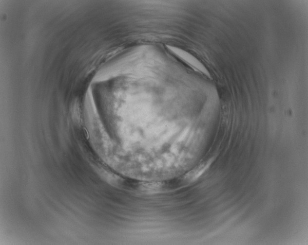 X0000062610143200601181639