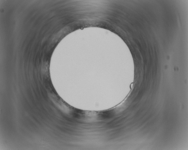 X0000062610144200601181639