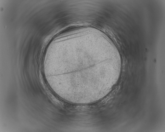 X0000062610145200601181638