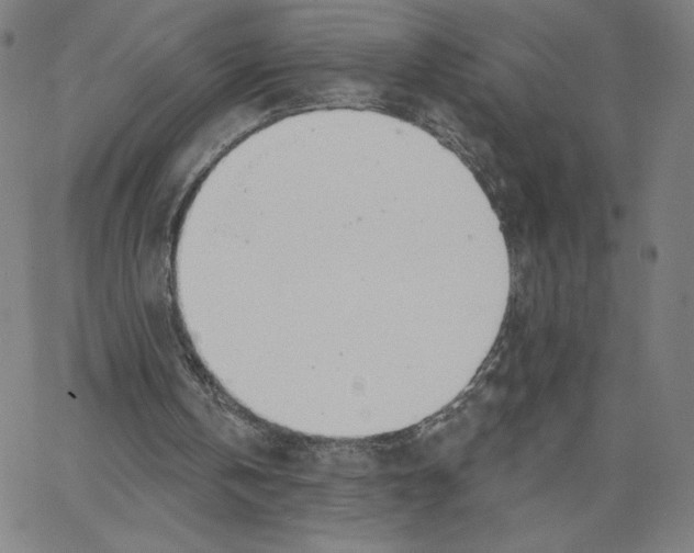 X0000062610146200601181638