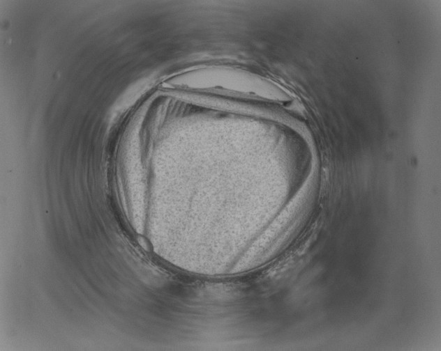 X0000062610149200601181638