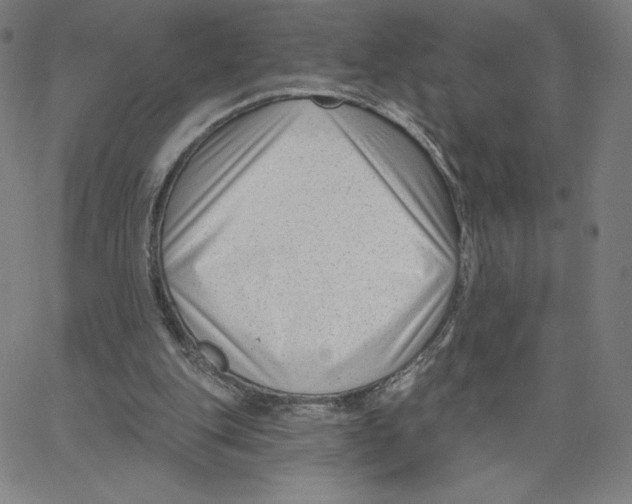 X0000062610151200601181638