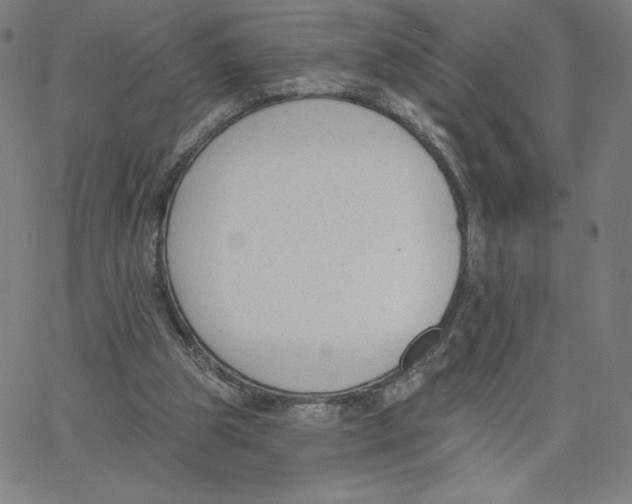 X0000062610153200601181638