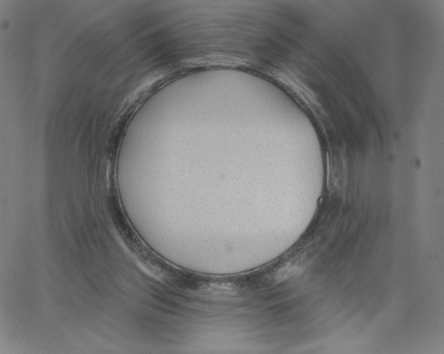 X0000062610157200601181638