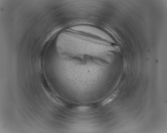 X0000062610158200601181638