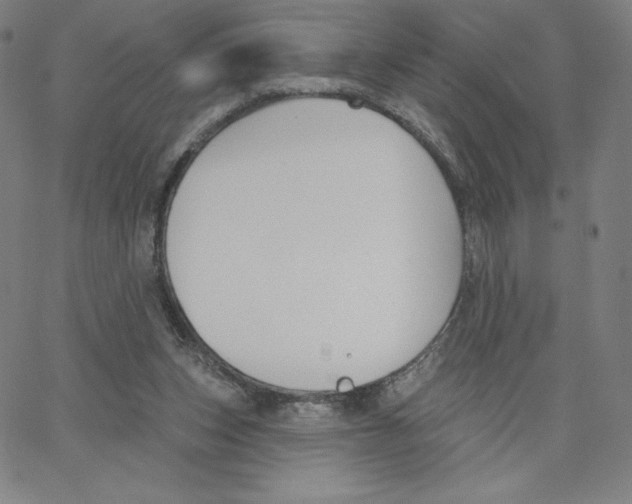 X0000062610159200601181638