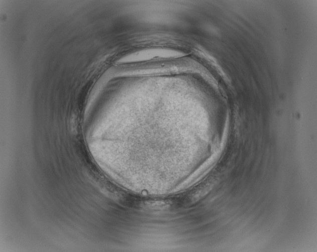 X0000062610161200601181638