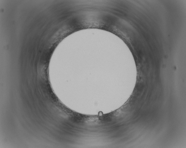 X0000062610162200601181638