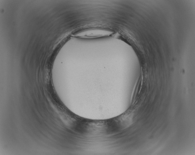 X0000062610164200601181638