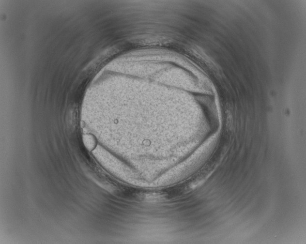 X0000062610165200601181638