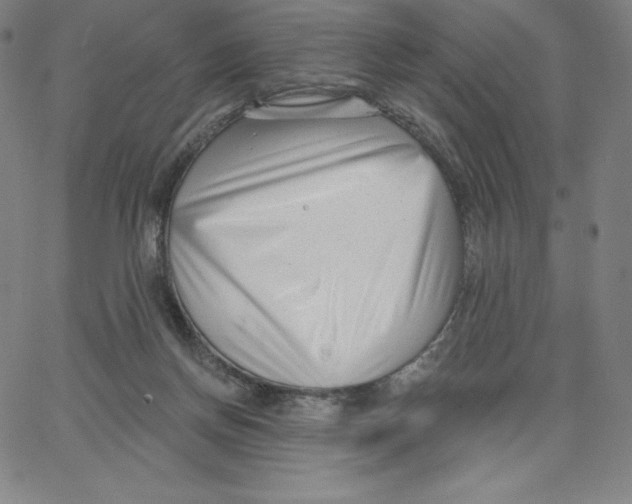 X0000062610166200601181638