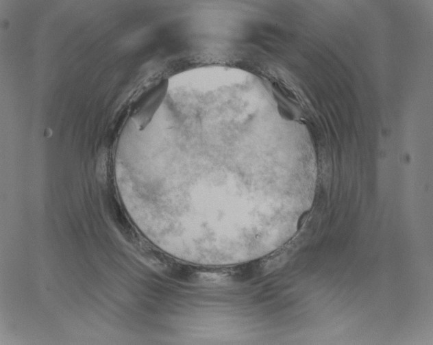 X0000062610167200601181638