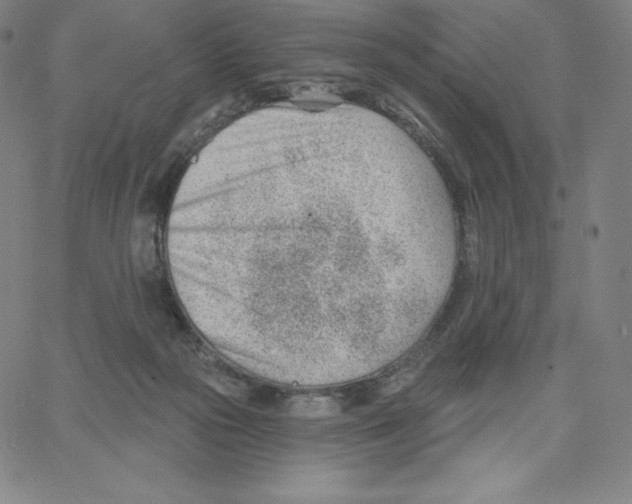 X0000062610169200601181638