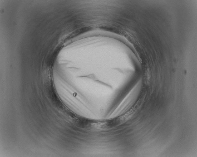 X0000062610172200601181638