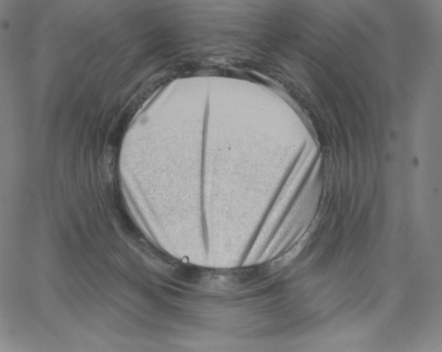 X0000062610174200601181638