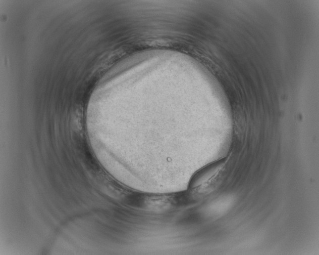 X0000062610175200601181638