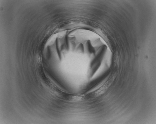 X0000062610176200601181638