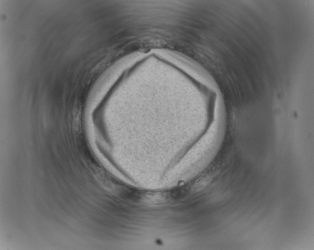 X0000062610177200601181638