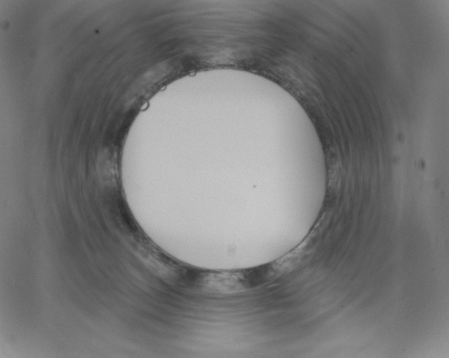 X0000062610179200601181638