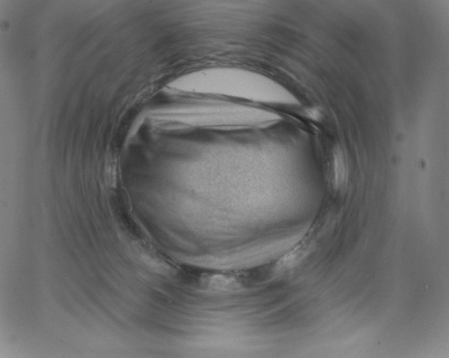 X0000062610180200601181638