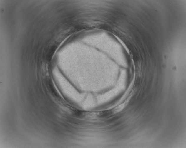 X0000062610182200601181638