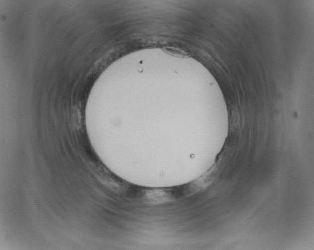 X0000062610183200601181638