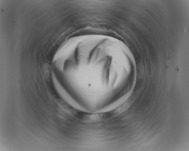 X0000062610184200601181638