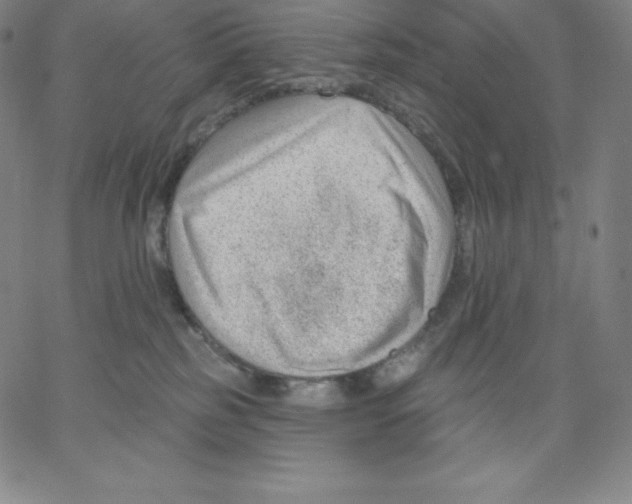 X0000062610185200601181638