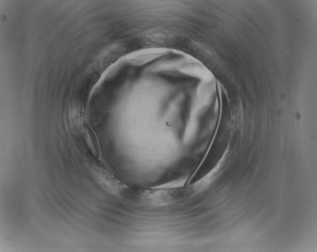 X0000062610186200601181638