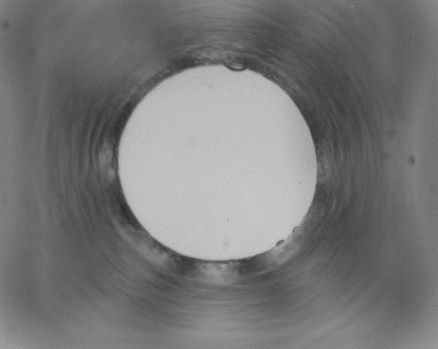 X0000062610187200601181639