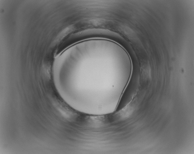 X0000062610188200601181639