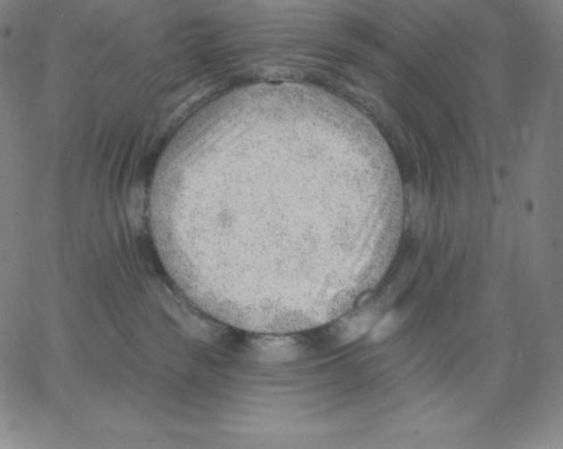 X0000062610189200601181639