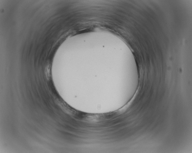 X0000062610190200601181639