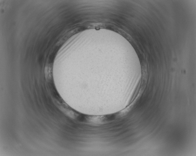 X0000062610191200601181639