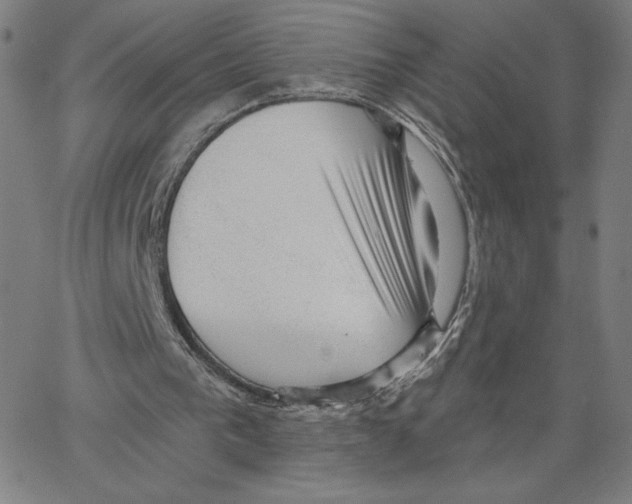 X0000062610193200601181638