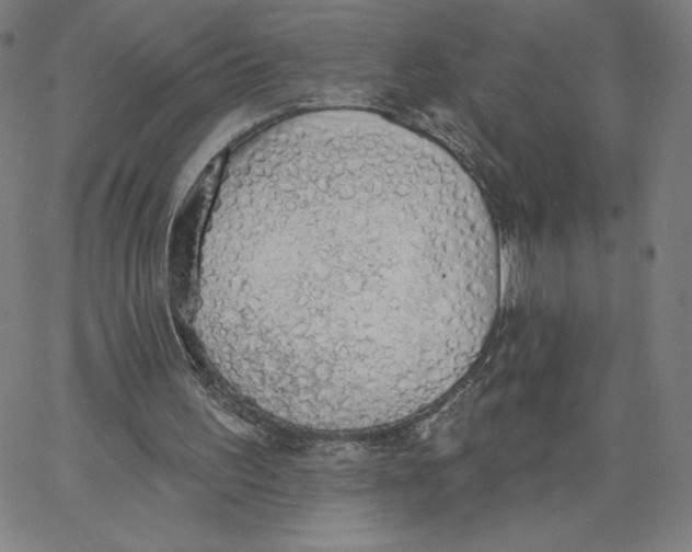 X0000062610195200601181638