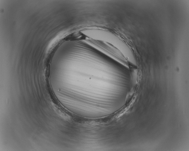 X0000062610197200601181638