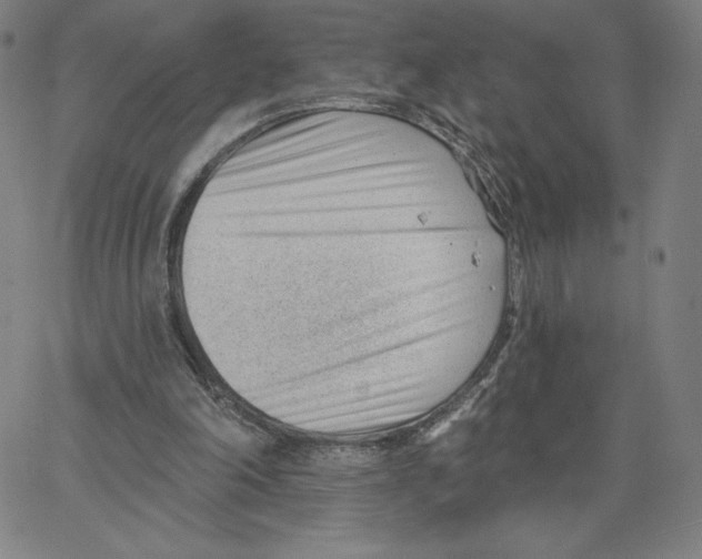 X0000062610198200601181638