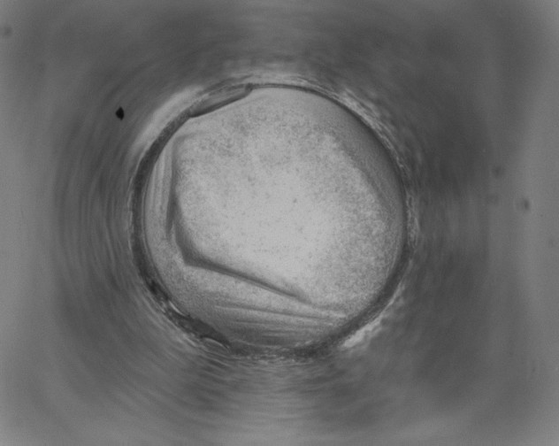 X0000062610199200601181638