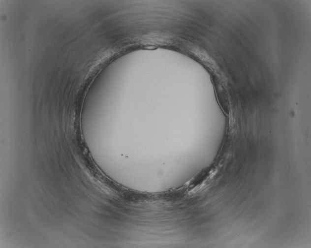 X0000062610201200601181638