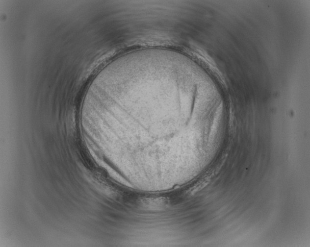 X0000062610202200601181638