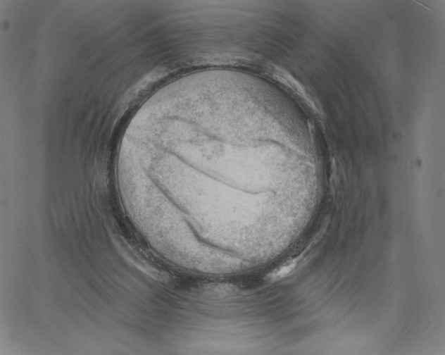 X0000062610203200601181638