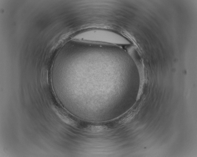 X0000062610205200601181638