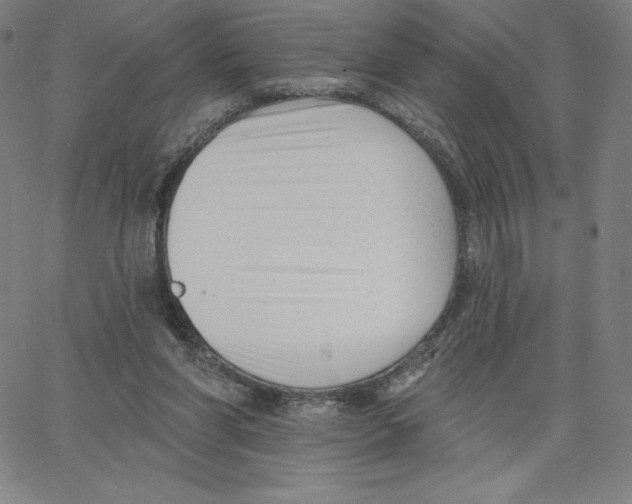 X0000062610206200601181638