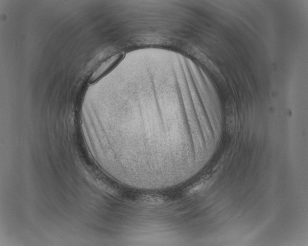 X0000062610207200601181638