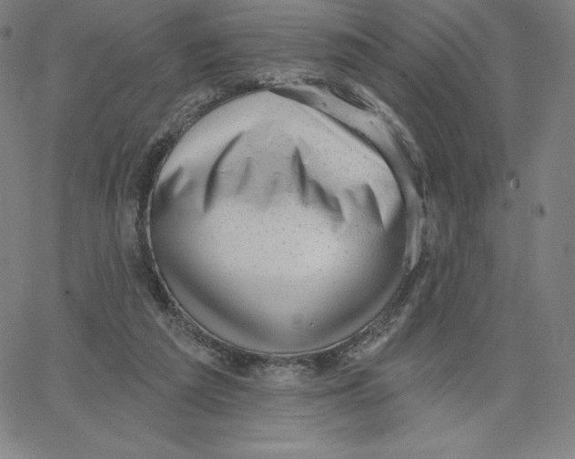 X0000062610209200601181638