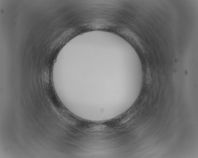 X0000062610210200601181638